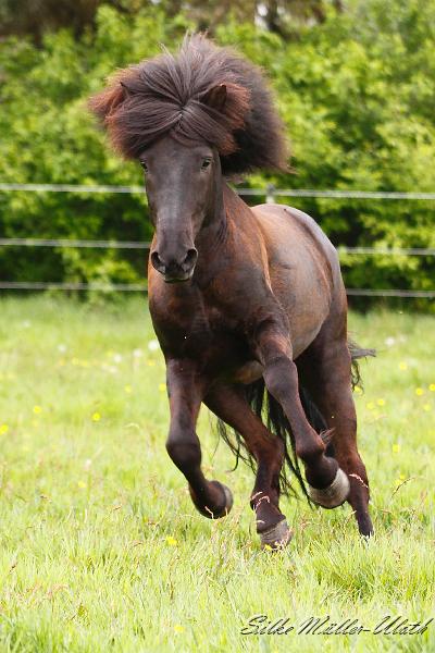 Alvar Deckherde e.jpg - Alvar hat Spass